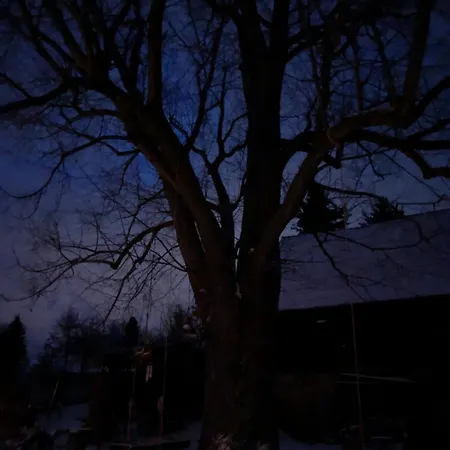 펜션 Lebenswerkstatthof Mildenau