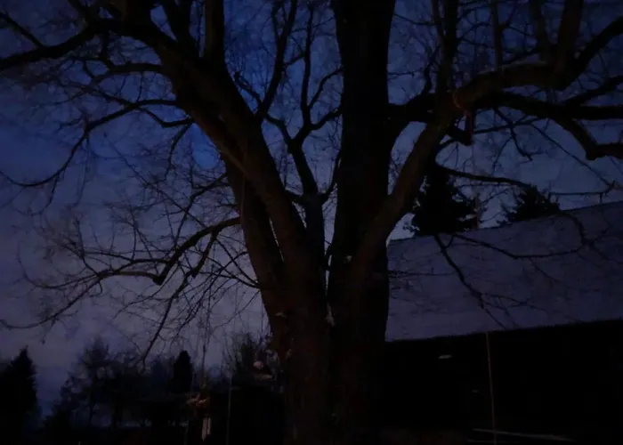 بيت للعطل Lebenswerkstatthof Mildenau